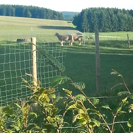 Eselhof Mobilheim Mutzenich (Bitburg-Prum)
