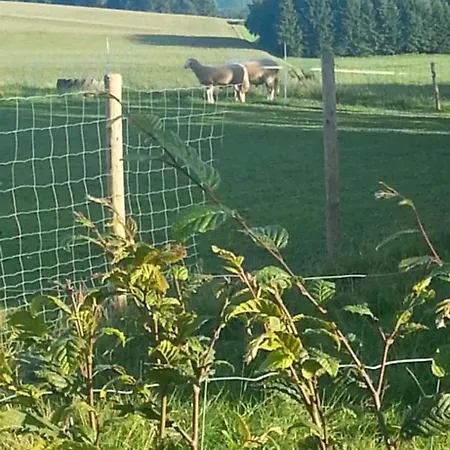 Διαμέρισμα Eselhof Mobilheim