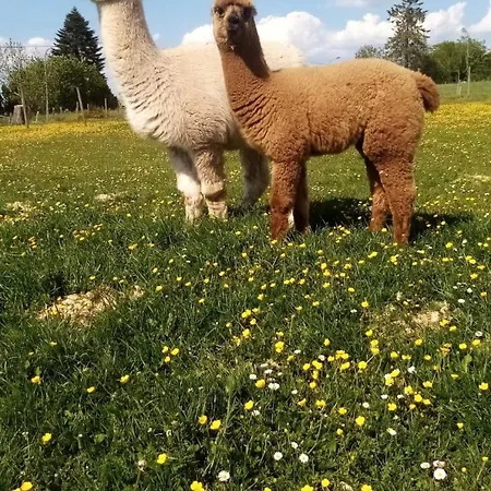 Eselhof Mobilheim Διαμέρισμα *