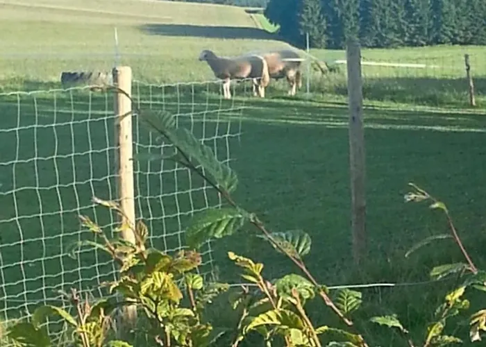 Eselhof Mobilheim Mutzenich (Bitburg-Prum)
