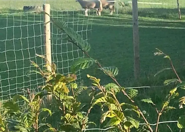 Διαμέρισμα Eselhof Mobilheim