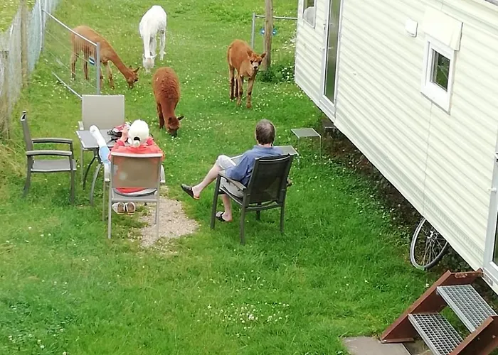 Eselhof Mobilheim Διαμέρισμα *