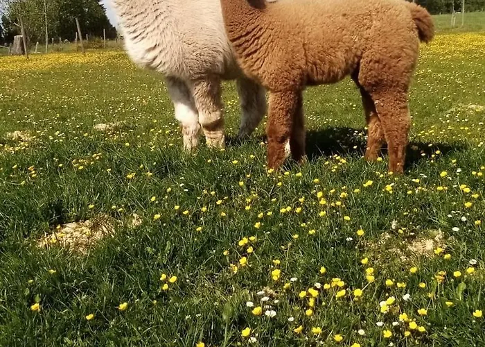 Eselhof Mobilheim Διαμέρισμα *